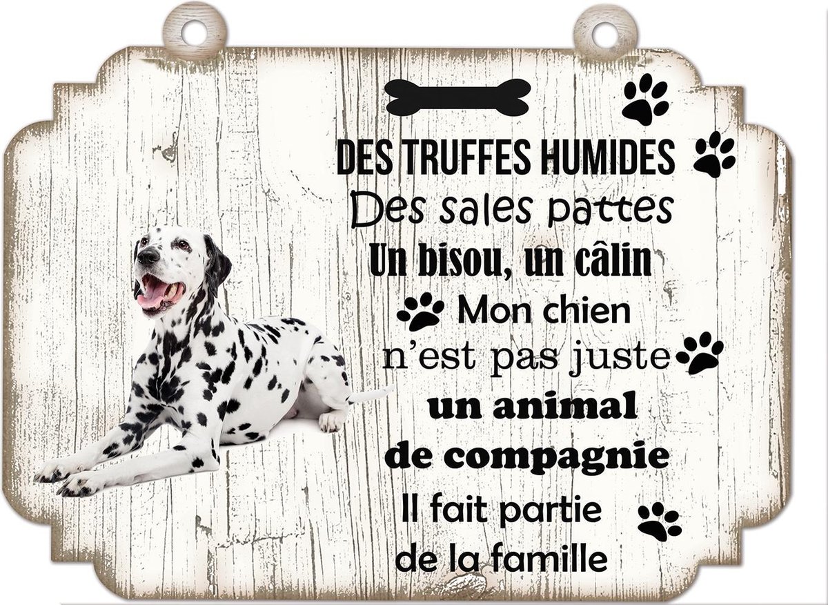 Tableau Déco - Dalmatien