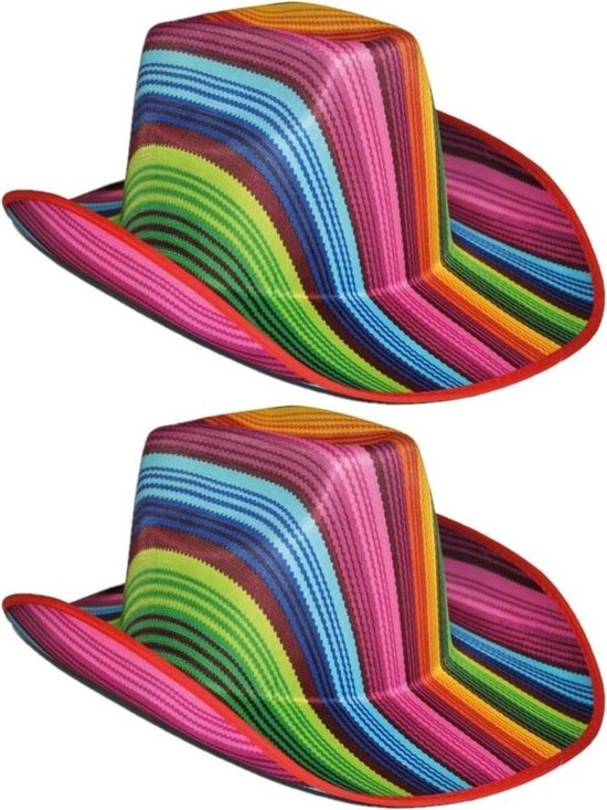 Het kantoor Berg Odysseus 2x stuks gekleurde gestreepte cowboyhoed - Carnaval verkleed hoeden  regenboog kleuren | bol.com