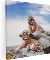 Artaza Peinture sur toile Deux tigres sur des rochers avec le ciel bleu - 60 x 60 - Photo sur toile - Impression sur toile