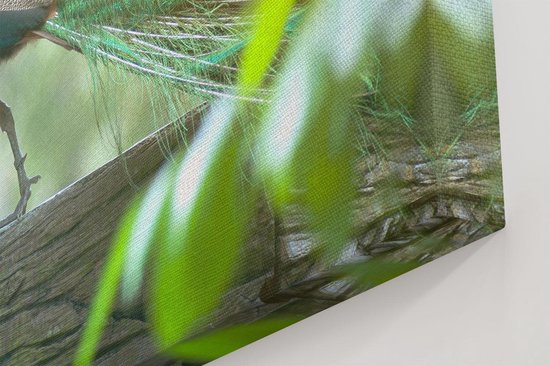 Artaza Peinture sur toile Paon se promène sur une branche dans la nature - 70 x 70 - Image sur toile - Impression sur toile