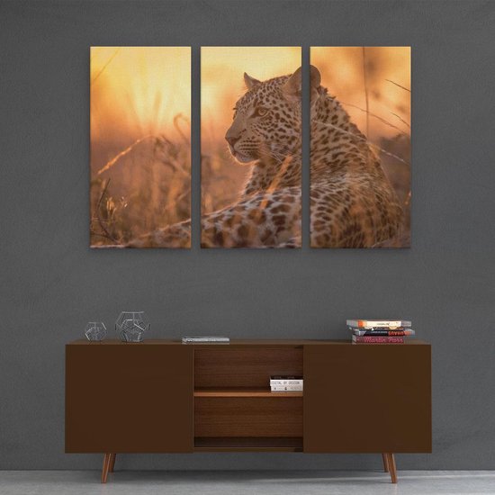 Artaza - Triptyque de peinture sur toile - Léopard se reposant au soleil - 120x80 - Photo sur toile - Impression sur toile