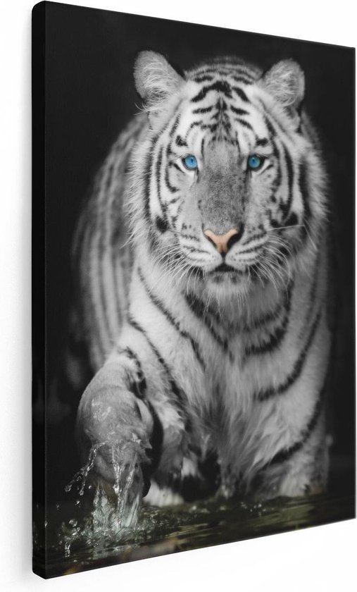 Artaza Peinture Sur Toile Tigre Aux Yeux Bleus - Zwart Wit - 30x40 - Klein - Photo Sur Toile - Impression Sur Toile