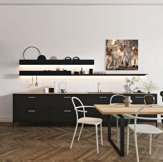 Artaza Canvas Schilderij Drie Kleine Apen Naast Elkaar - 50x50 - Foto Op Canvas - Canvas Print