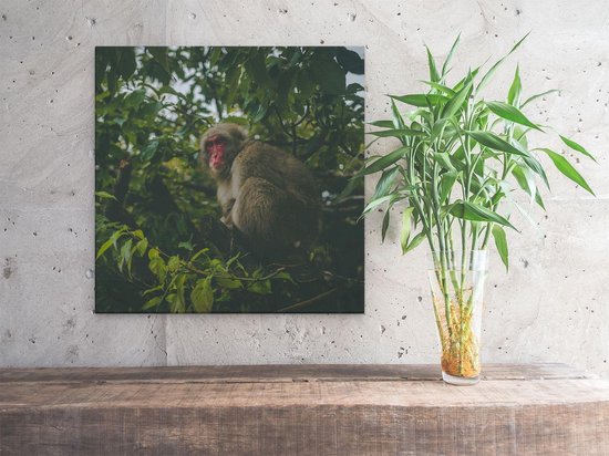 Artaza Toile Peinture Singe Dans L'Arbre Entre Les Feuilles - 40x40 - Klein - Photo Sur Toile - Impression Sur Toile