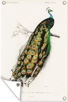 Muurdecoratie Vogel - Pauw - Vintage - 120x180 cm - Tuinposter - Tuindoek - Buitenposter