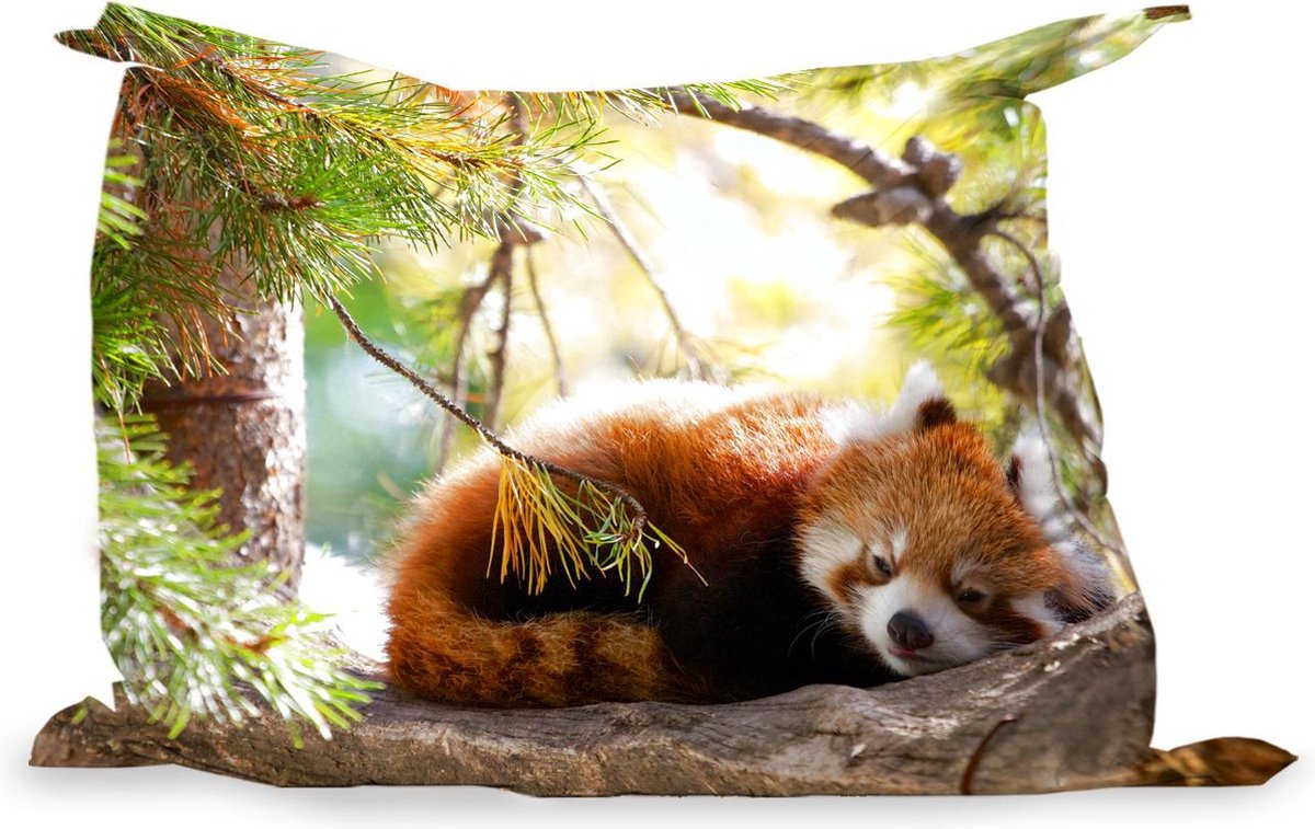 PillowMonkey - Zitzak Volwassenen - Panda - Hout - Planten - 175x135 cm -  Binnen en Buiten | bol.com
