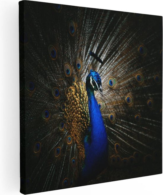 Artaza Canvas Schilderij Blauwe Pauw Met Grote Veren - 30x30 - Klein - Foto Op Canvas - Canvas Print