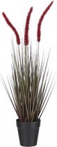 kunstbloem Dogtail 53 cm rood/groen