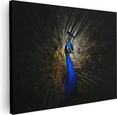 Artaza - Peinture sur toile - Paon bleu avec de grandes Ressorts - 80x60 - Photo sur toile - Impression sur toile
