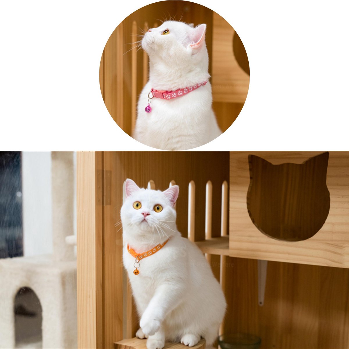 Premium Dierenhalsband met Pootjesprint en Belletje Paars | 19-33cm Verstelbaar | Geschikt voor Hond Kat Puppy en Kitten | Halsband | Halsbandje | Hondenhalsband | Hondenhalsbanden | Kattenhalsband | Kattenbandje met Belletje | Bel – foto 8