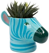 bloempot Zebra 15,5 x 16,5 cm keramiek blauw