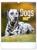 Dogs Kalender 2022