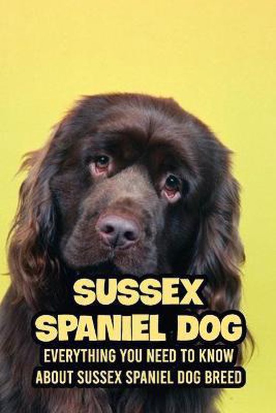 Sussex Spaniel Dog: Everything You Need to Know about Sussex Spaniel Dog Breed