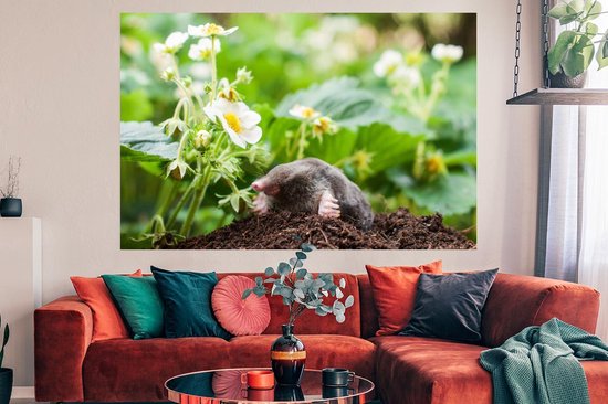 Papier d'affiche de taupe dans un jardin