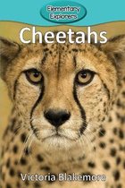 Elementary Explorers- Cheetahs