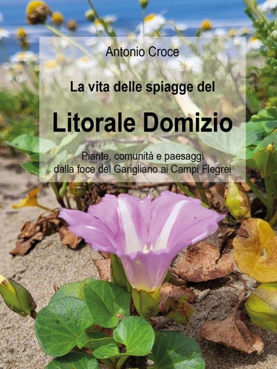 La vita delle spiagge del Litorale Domizio - cover