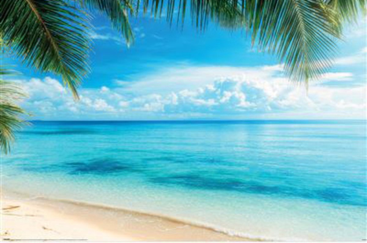 Pyramid Poster Azure Ocean View 91,5x61cm Divers