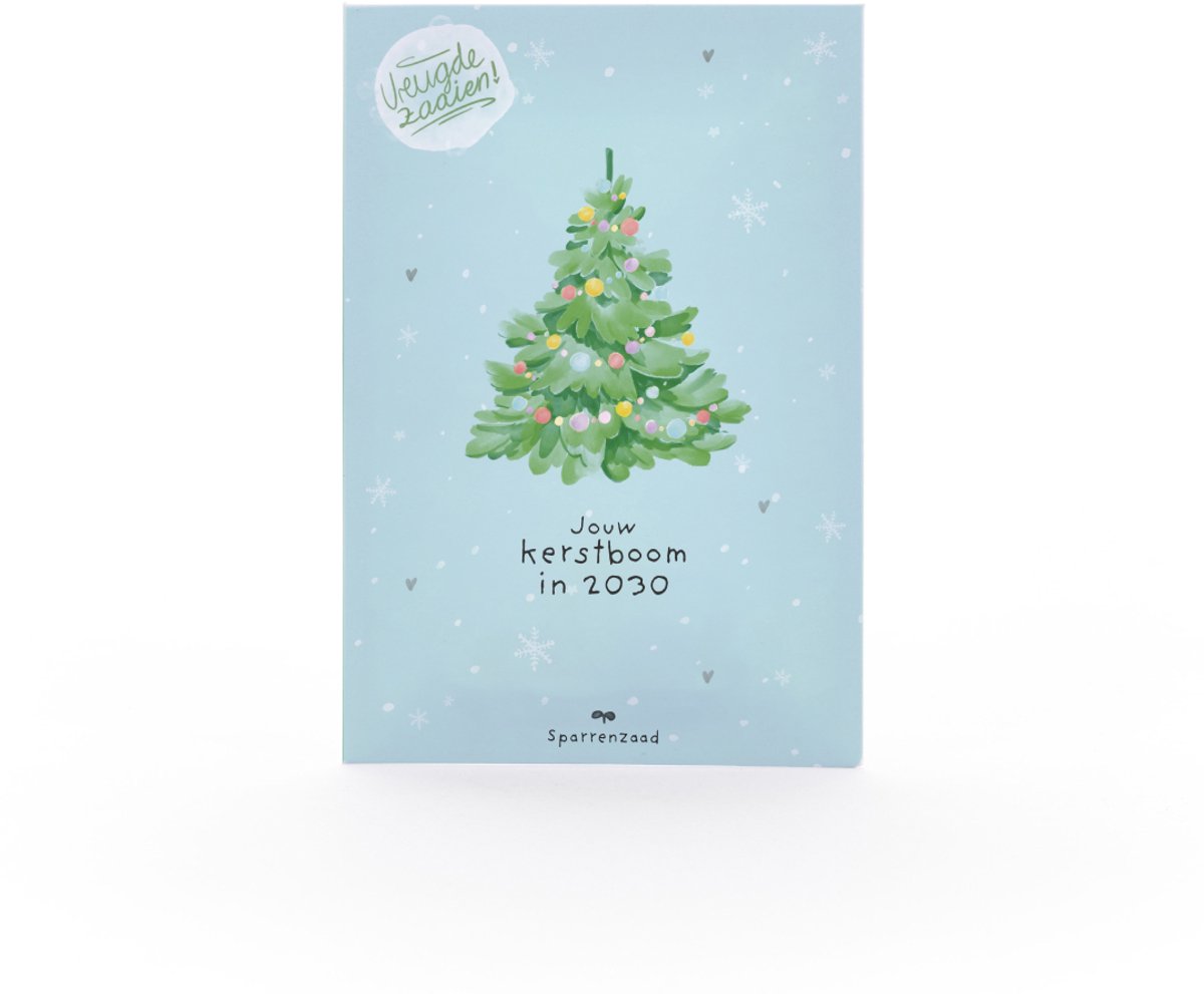 Sparrenzaad Kerstboom 2030 - Zaden voor fijnspar - 10 stuks - Handgemaakt en sociaal verantwoord