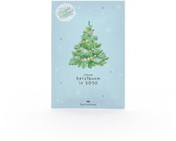 Sparrenzaad Kerstboom 2030 - Zaden voor fijnspar - 10 stuks - Handgemaakt en sociaal verantwoord