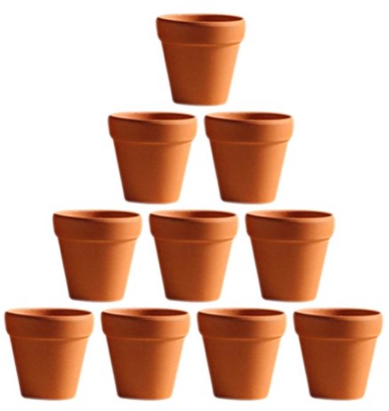 Tips voor het planten van een appelboom