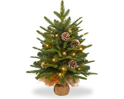 NAIZY Kleine Kerstboom met Lichtjes, 60 cm Mini Kunstkerstboom, Werkt op Batterijen met Decoratieve Lichtslinger, 30 Warm Witte LED's, Kerstboomversiering, Dennenappels