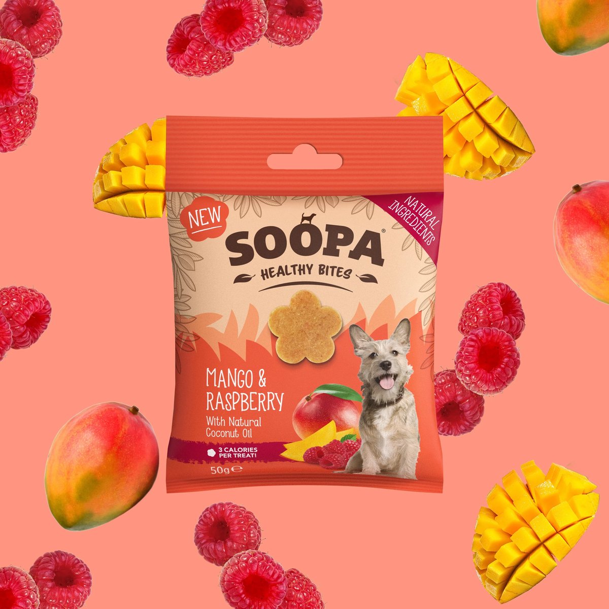 Soopa - Hondensnack - Dental bites - Mango & Raspberry - Display 10 stuks