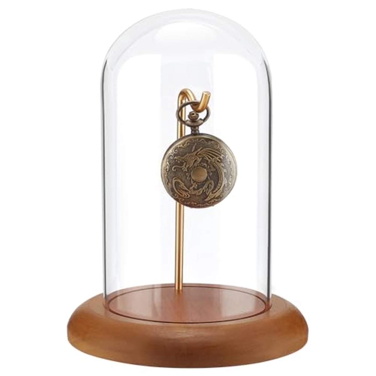 Glazen Koepel Display Dome met Houten Basis voor Horloge en Planten