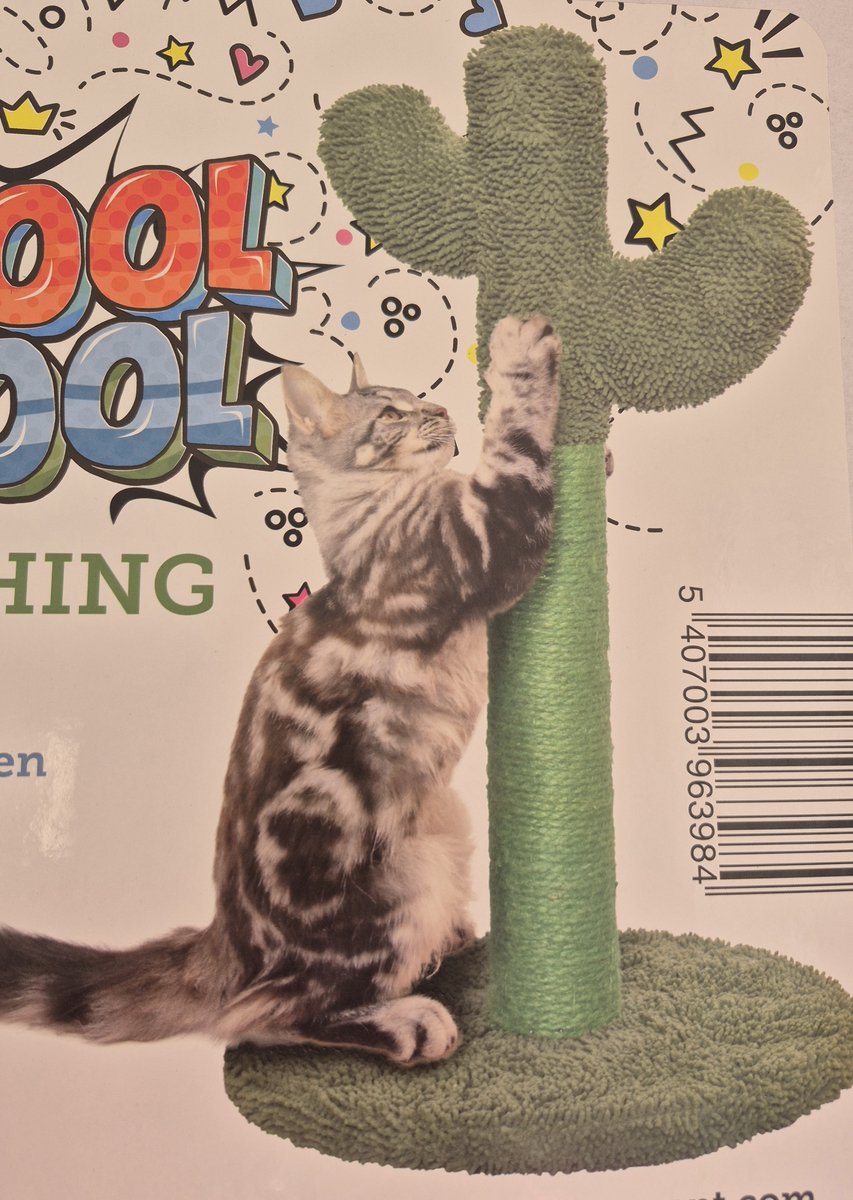 Krabpaal voor Katten Cactus Groen - Krabmeubel - Kowloon - H63 x B35 xD35 cm
