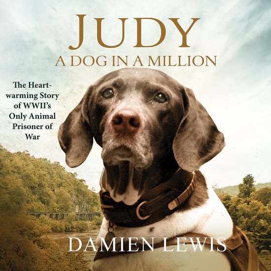 Judy: A Dog in a Million - cover
