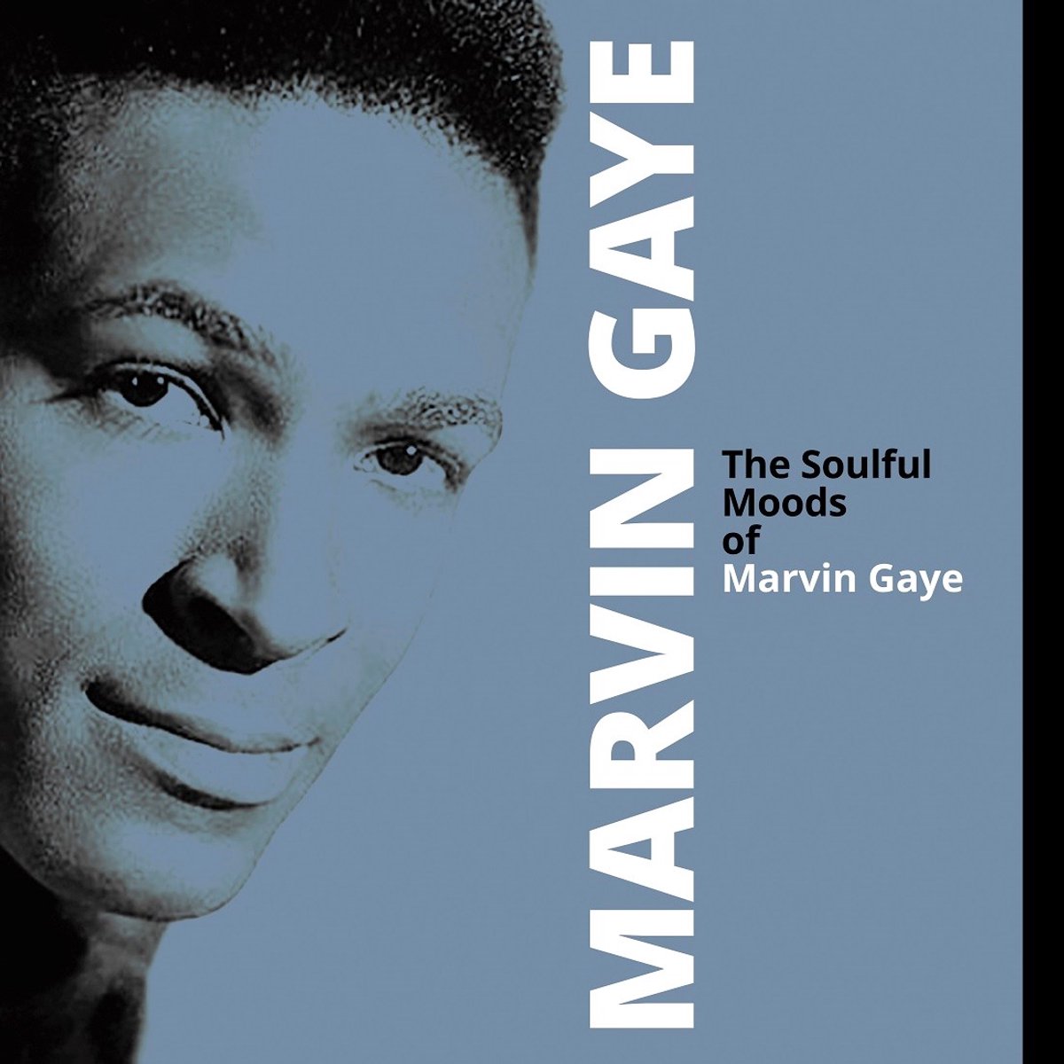 Marvin Gaye - The Soulful Moods Of Marvin Gaye (LP) (Coloured Vinyl)