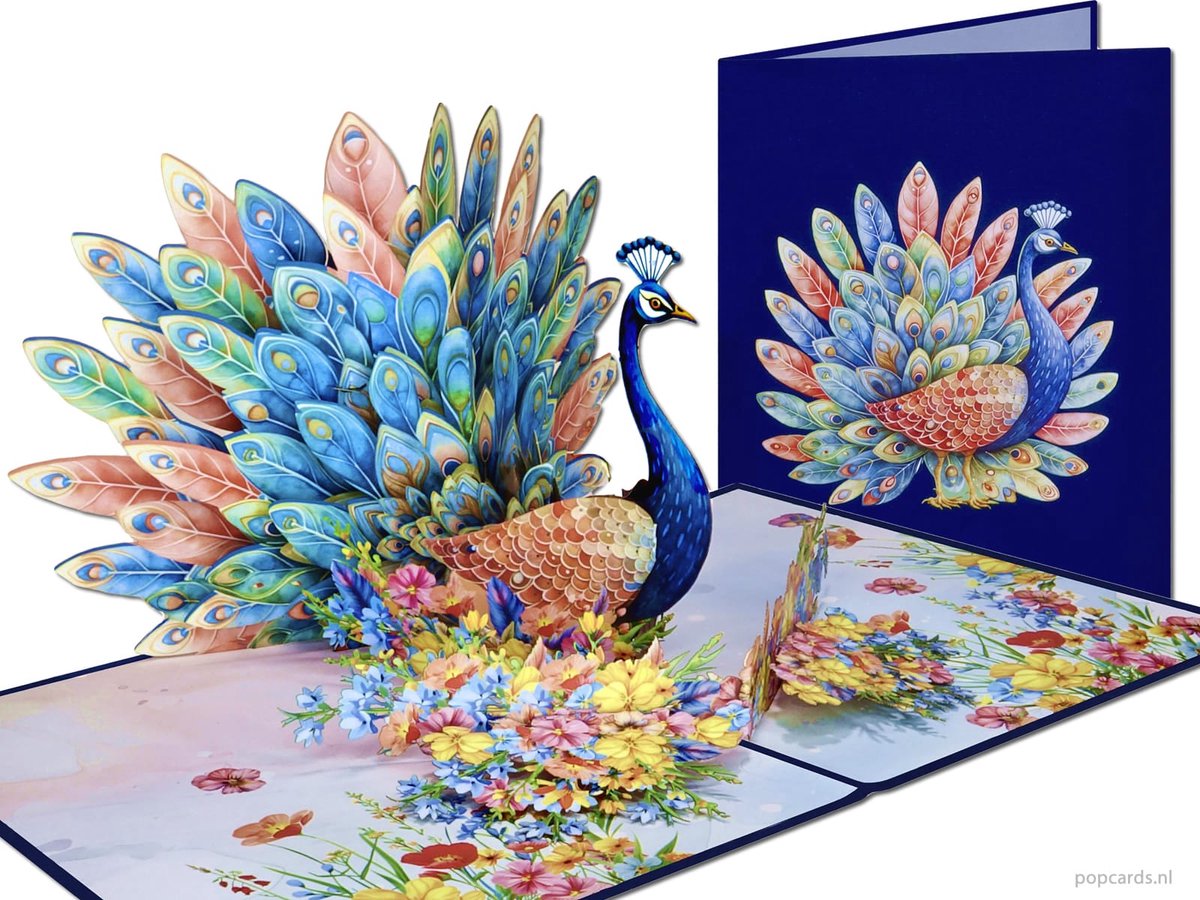 Popcards pop-up kaart - Zo trots als een pauw! Schitterende Kleurrijke Pauw Vogel Afgestudeerd Geslaagd Jarig 3D kaart wenskaart