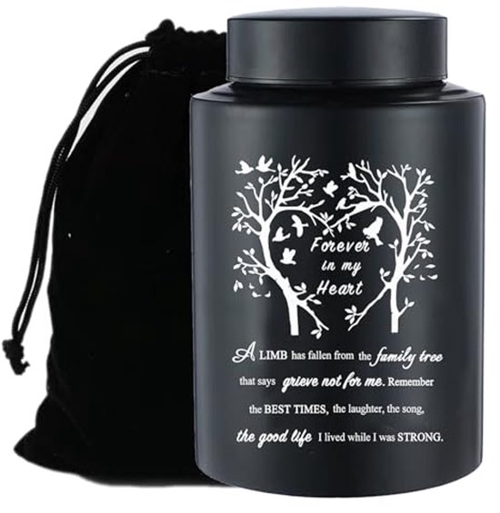 Grande urne en acier inoxydable pour cendres humaines - Élégant contenant souvenir pouvant contenir jusqu'à 220 lb