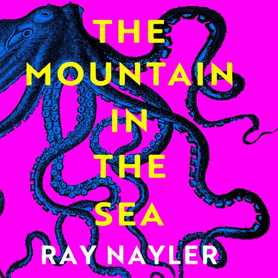 The Mountain in the Sea - cover