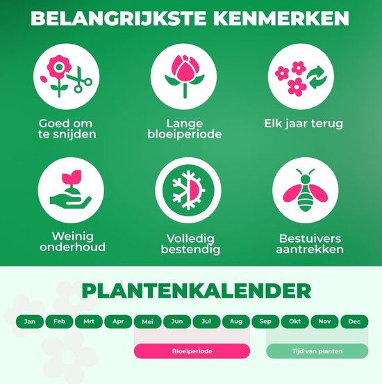 Iconen: bloem schikken, bloeiperiode, elk jaar terug, weinig onderhoud, vorstbestendig, bijen aantrekken. Plantenkalender met bloeiperiode en planttijd.