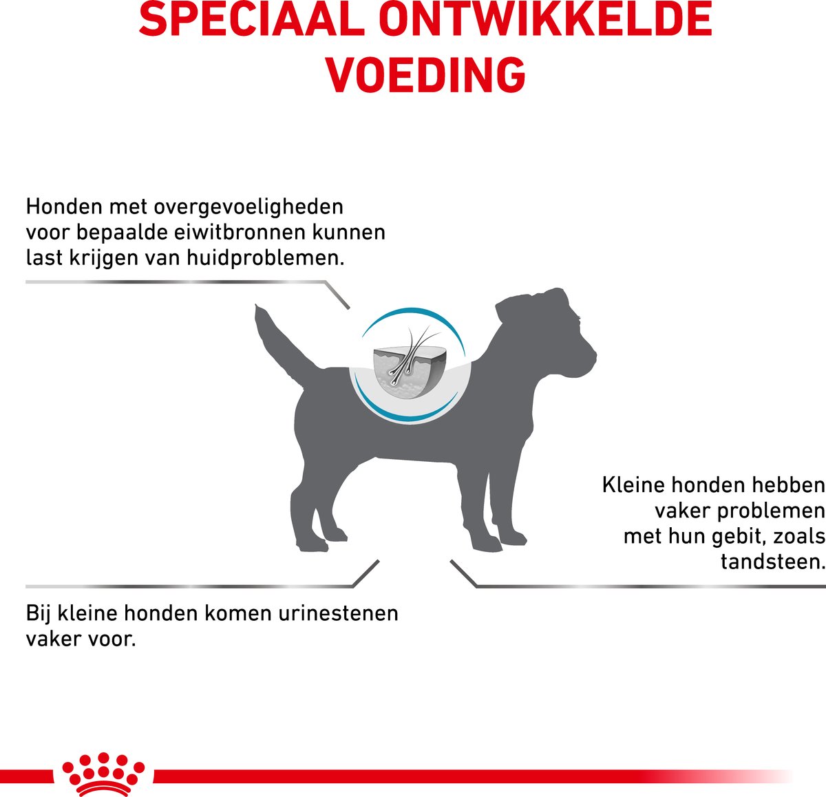 Royal Canin Veterinary Diet - Droog Hondenvoer - Hypoallergenic Small Dog - Dieetvoeding - 3,5kg thumbnail 2