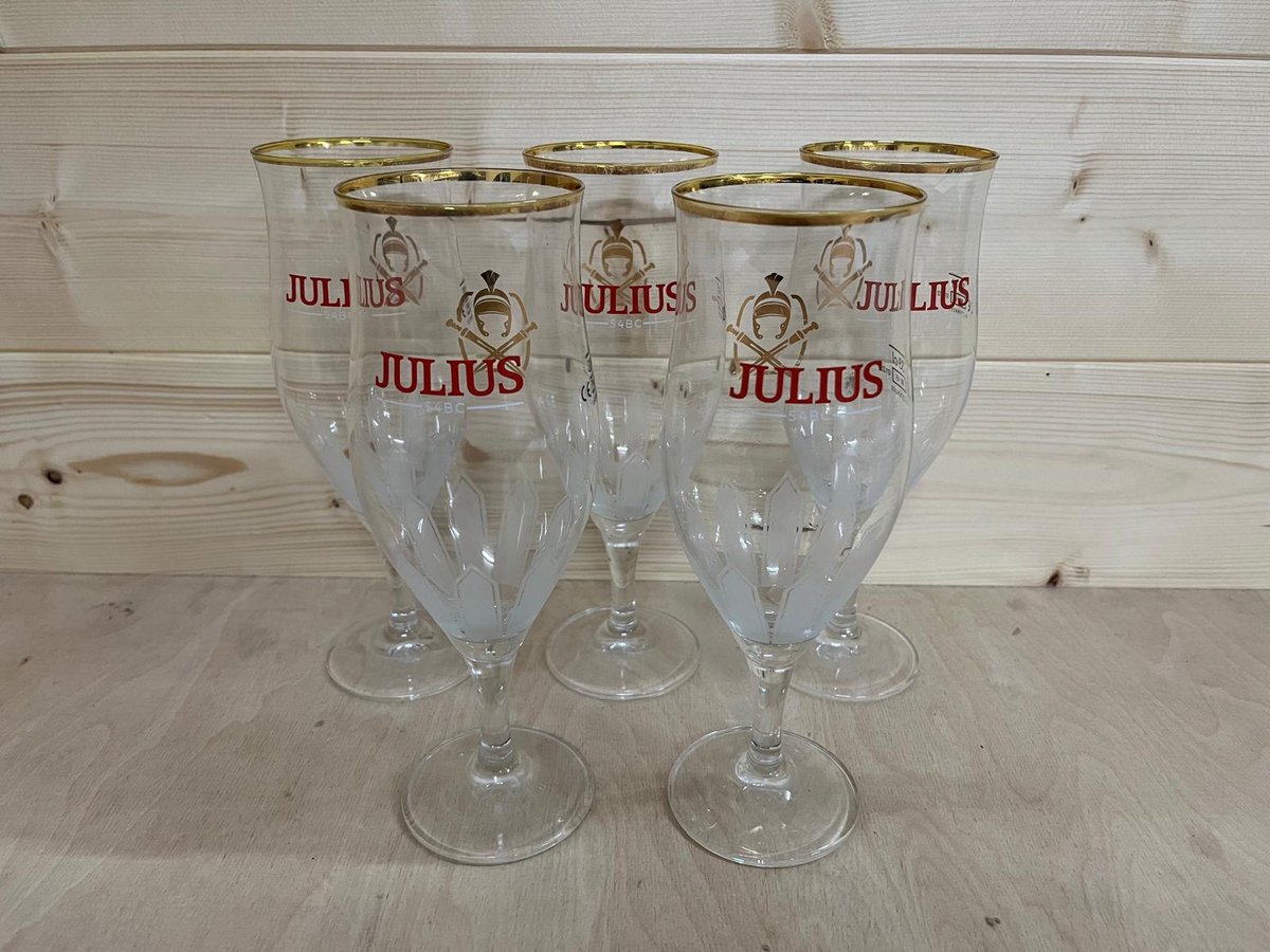 Julius Bierglazen – 50 cl - 5 stuks - 0,5 Liter