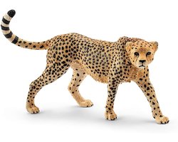 foto van Schleich Wild Life cheetah vrouwtje - speelgoedfiguur natuurgetrouw.