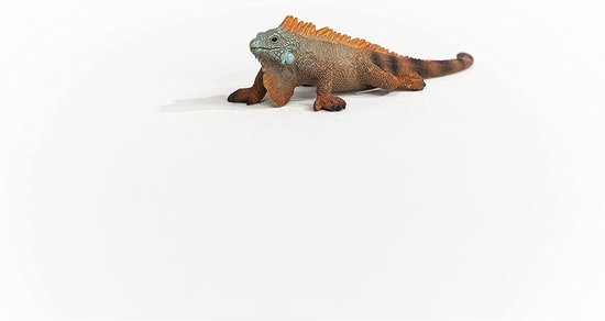 Bruine leguaan met oranje stekels, blauwgroene kop en zwart gestreepte staart.