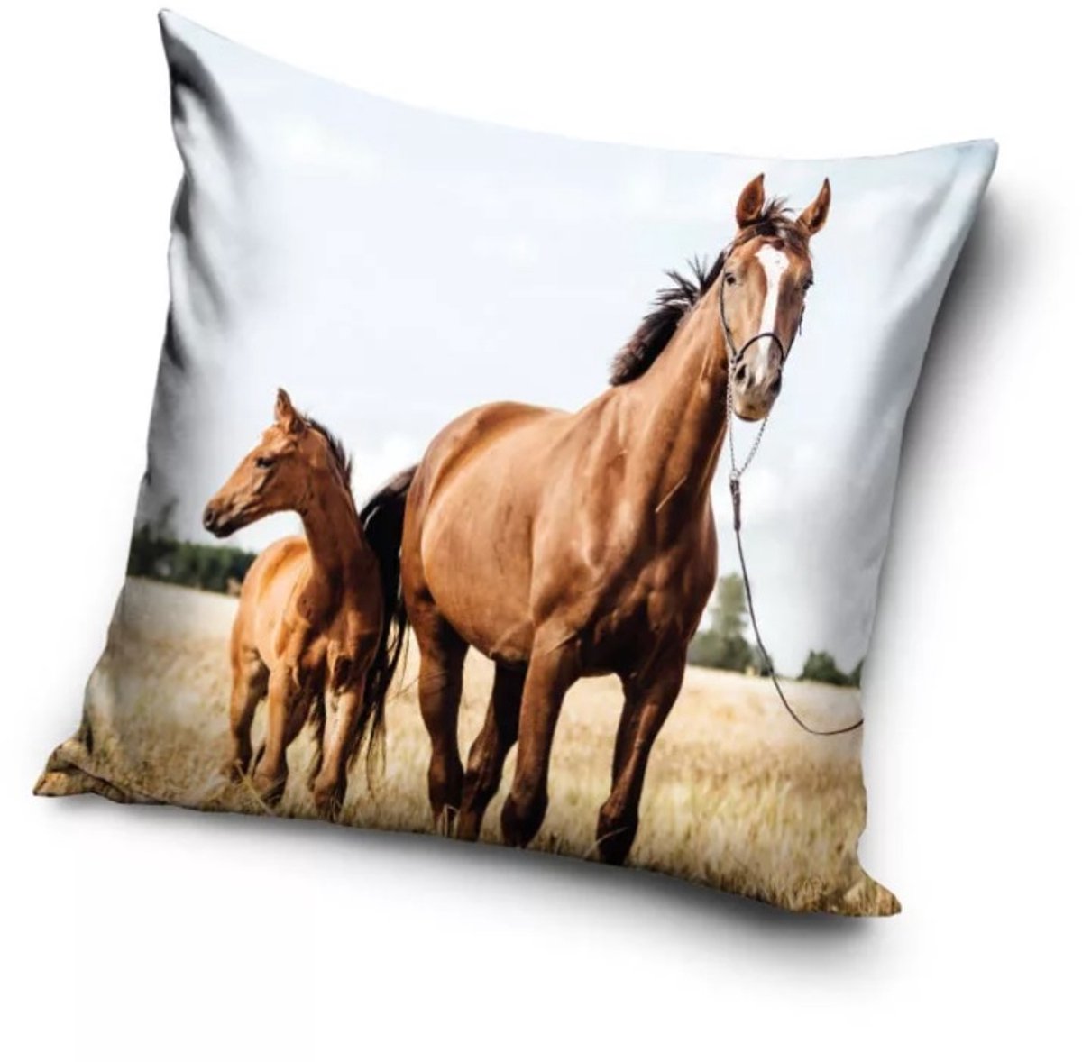 Horses Loyal Hearts kussenhoes 40x40 cm