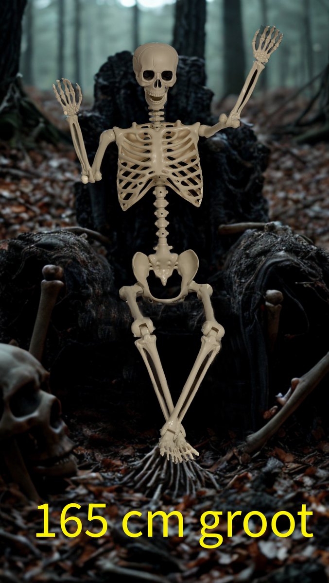 SCS Direct Posable Life Size Menselijk Skelet Familie Set van 2 - Volwassen (5' 4) & Kinderen (2') - Halloween Prop Indoor Outdoor Decoraties & Buigen Gearticuleerde Botten