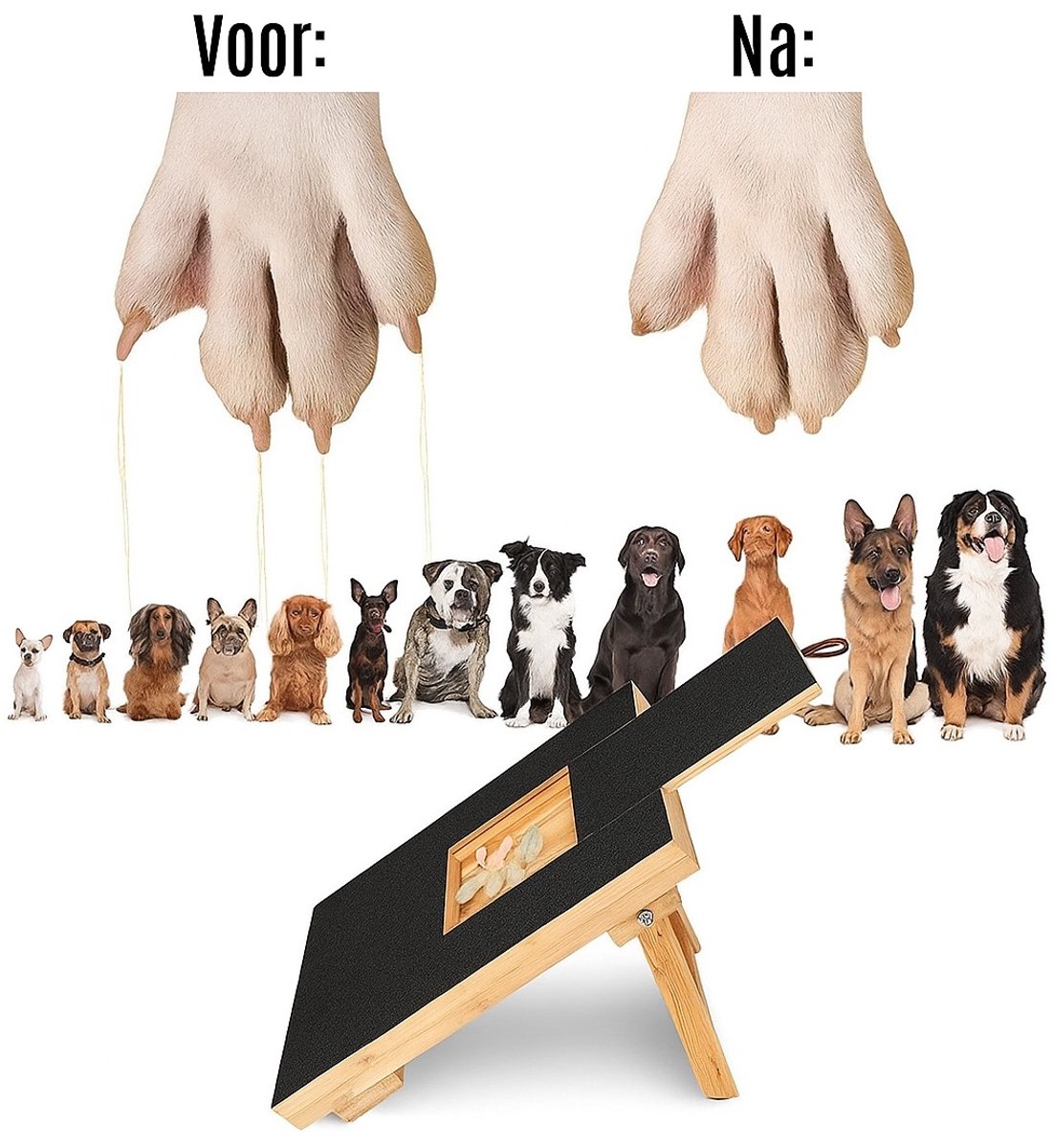 BlueTime - Krabplank Hond - Honden Krab Plank - Hondenkrabplank - Krabplanken - Krapplank - Nagelknipper - Nagelvijl - Traktatie Box - Staande Variant