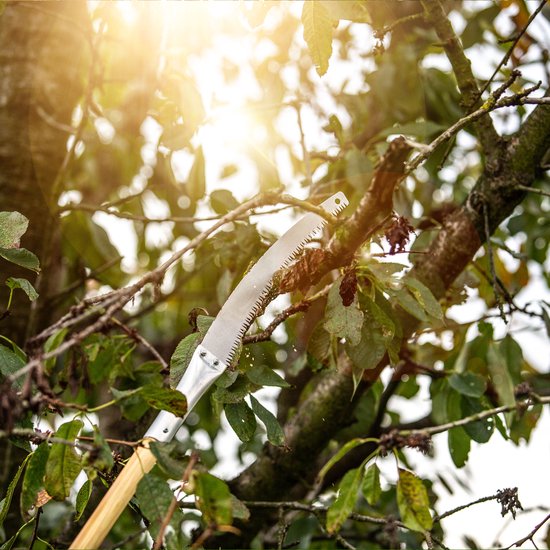 KADAX Takkenzaag op lange steil, handzaag met houten handvat, hoge haalbare boomzaag, duurzame, haakvormige snoeizaag voor hoge bomen en struiken (30 cm) van Merkloos	 — afbeelding 5