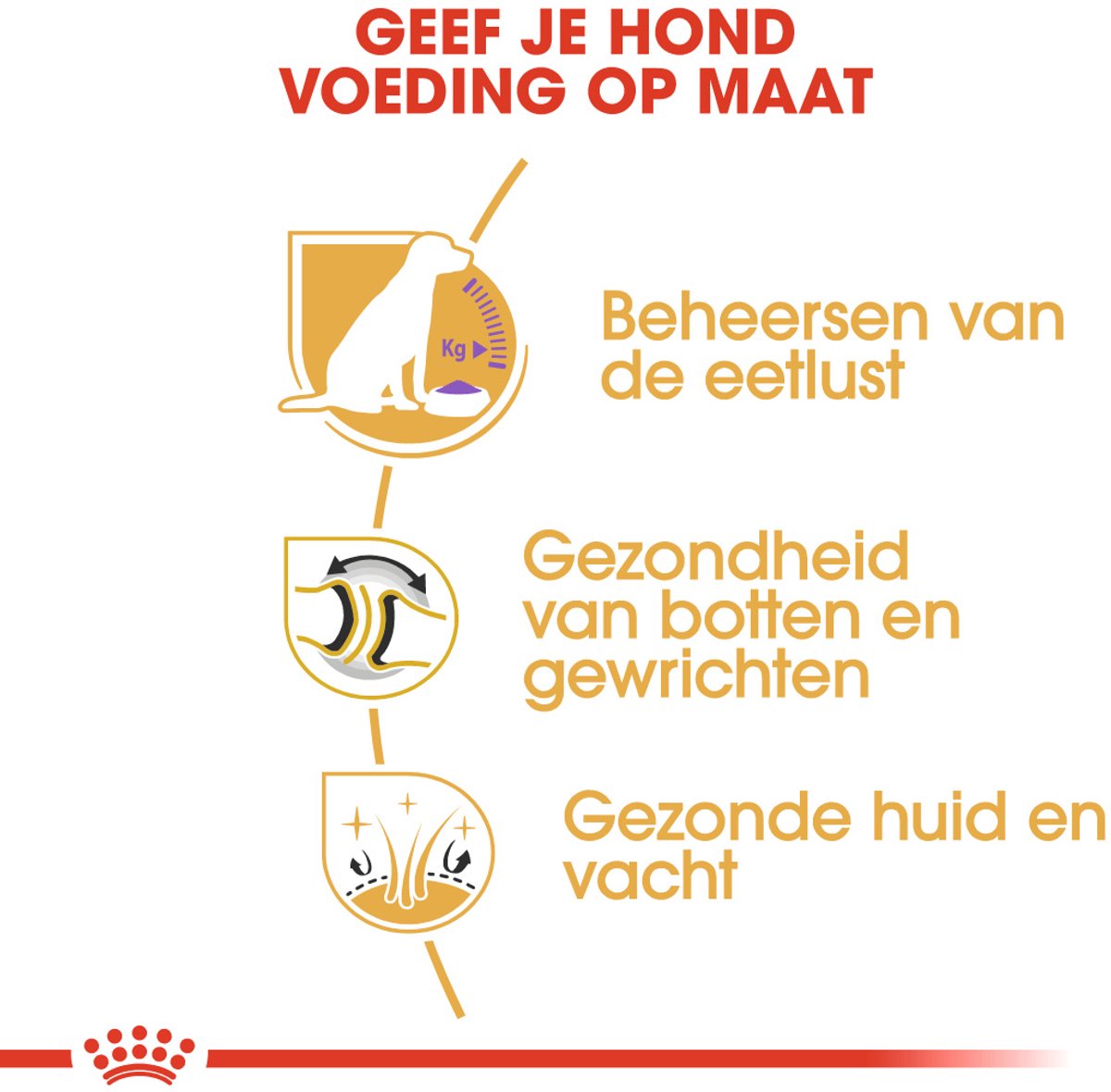 Royal Canin Labrador Retriever - Hondenvoer thumbnail 6
