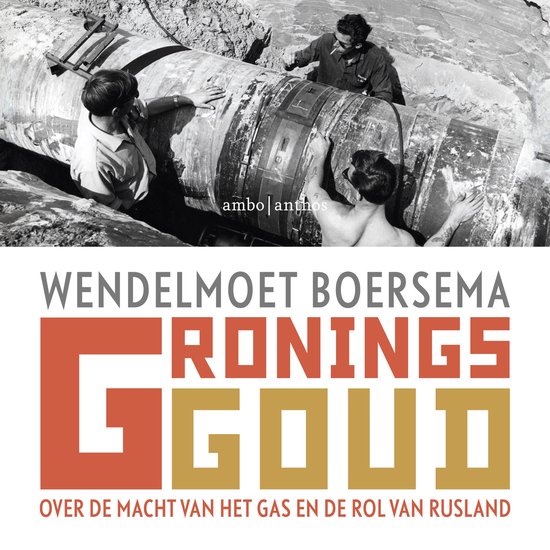 Gronings goud - cover