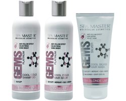 Spa Master No Yellow Set – Zilvershampoo, Zilver Haarbalsem en Zilver Haarmasker tegen Gele Zweem – 860 ml