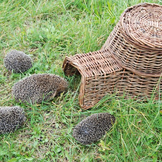 Esschert Design - Hedgehog Basket Willow Branches - Marron - 53 x 41 x 21 cm