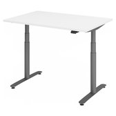 XLR 12G | 120 x 80 | Bureau réglable en hauteur électriquement - Wit 120x80 Hauteur de table I Réglable en hauteur électriquement