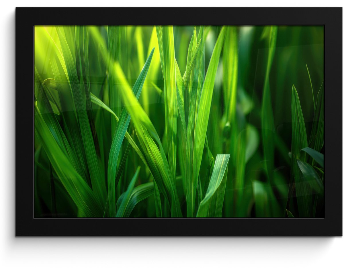 FrameYourWall Poster in lijst - Fotolijst 30x20 cm - Posters - Grassprieten - Lichtinval - Groen - Posterlijst zwart - Decoratie - Wanddecoratie woonkamer - Muurdecoratie slaapkamer