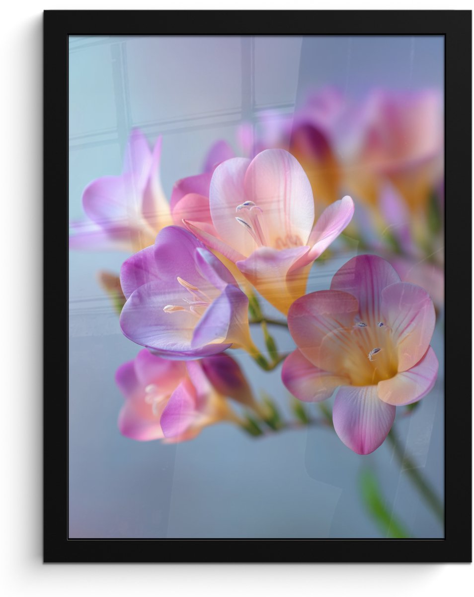FrameYourWall Poster in lijst - Fotolijst 30x40 cm - Posters - Bloemen - Paars - Overloop - Meeldraden - Posterlijst zwart - Decoratie - Wanddecoratie woonkamer - Muurdecoratie slaapkamer Bloemen - Overloop