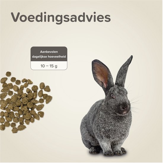 Grijze konijn naast een hartvormige stapel konijnenbrokjes en tekst 'Voedingsadvies'.